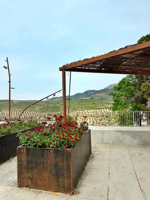 Los Molinos Quesada Exteriör bild